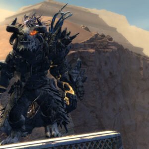 Le Champion du Dragon de Pierre