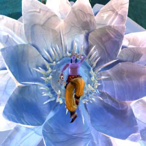 Krishna et le Rasa Lila